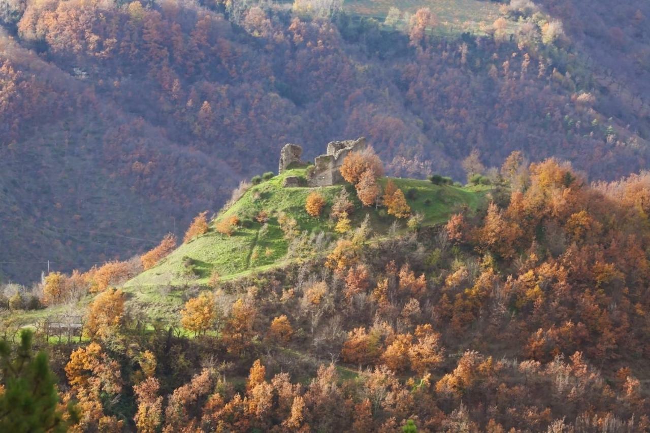 B&B Latordicella Castel del Rio Extérieur photo